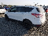 1FMCU0GX8FU****** Salvage and Repairable 2015 Ford Escape in Eugene
