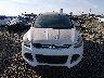 1FMCU0GX8FU****** Salvage and Repairable 2015 Ford Escape in Oregon State