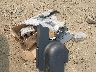 1FMZK02185G****** Destrozados 2005 Ford Freestyle en Estado de California