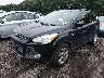 1FMCU9GX1EU****** Usados y Reparables 2014 Ford Escape en Long Island