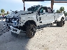 1FT8W4DM9RE****** Usados y Reparables 2024 Ford F-450 en Tampa
