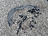 1GKKVSKD0HJ****** Wrecked 2017 GMC Acadia in South Carolina State
