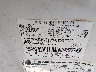 1FTFW1CFXCF****** Used 2012 Ford F-150 in Shreveport
