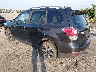 JF2SJAEC3HH****** Salvamento y Reparables 2017 Subaru Forester en Philadelphia