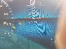 4JGFB5KB4PA****** Wrecked 2023 Mercedes-Benz Gle 450