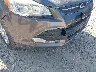 1FMCU0GX1EU****** Salvamento 2014 Ford Escape