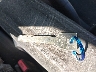 1HGEM22914L****** Salvage 2004 Honda Civic in Texas State