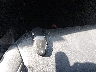 5YJSA1H24FF****** Salvage 2015 Tesla Model S in Texas State