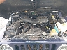 1J4FY29P7WP****** Repairable 1998 Jeep Wrangler in Elkton