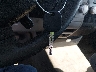 5TFRT54167X****** Salvage 2007 Toyota Tundra in Texas State