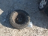 KNAFK4A62G5****** Wrecked 2016 Kia Forte in Florida State