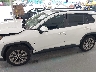 JTMC1RFV4KJ****** Repairable 2019 Toyota RAV4 in Florida State