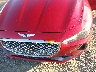 KMTG74LEXLU****** Salvage and Repairable 2020 Genesis G70 in North Carolina State