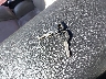 1G1YY23P9P5****** Salvage 1993 Chevrolet Corvette in Florida State