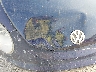 3VWRW31C36M****** Salvamento y Reparables 2006 Volkswagen Beetle en Estado de Missouri