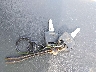 JH2RC44602M****** Salvage 2002 Honda Vt750 in New York State
