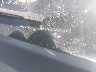 5NPDH4AE2FH****** Destrozados 2015 Hyundai Elantra en Estado de Nueva York