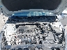 5NPLL4AG8MH****** Repairable 2021 Hyundai Elantra in Long Island