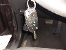 5XYKT3A62EG****** Salvage 2014 Kia Sorento in New York State