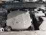 5XYP6DHC9MG****** Repairable 2021 Kia Telluride in Scranton