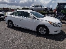 5NPEB4AC3DH****** Salvage and Wrecked 2013 Hyundai Sonata in Miami North