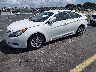5NPEB4AC3DH****** Used and Repairable 2013 Hyundai Sonata in Miami North