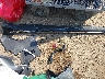 5NPE34ABXFH****** Wrecked 2015 Hyundai Sonata in Ohio State