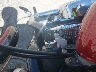1HD1CT31X7K****** Salvamento 2007 Harley-Davidson Sportster 1200 Custom en Estado de Florida