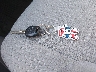 JTEBU14R830****** Salvage 2003 Toyota 4Runner in Iowa State
