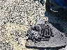 JF2GPAGC2E8****** Reparables 2014 Subaru XV Сrosstrek