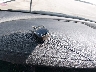 1G11H5SL7EF****** Salvamento 2014 Chevrolet Malibu en Estado de Iowa