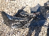 4T1S11AK7MU****** Wrecked 2021 Toyota Camry in Mississippi State