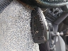 1FADP3L99DL****** Salvage 2013 Ford Focus St in West Virginia State