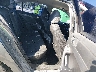 3VWDP7AJ9CM****** Wrecked 2012 Volkswagen Jetta in Raleigh