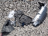 4T1B11HK4KU****** Wrecked 2019 Toyota Camry in Ohio State