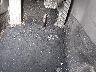 3VWRM71KX9M****** Salvamento 2009 Volkswagen Jetta en Estado de Georgia