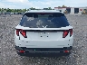 5NMJB3DE6RH****** Destrozados 2024 Hyundai Tucson