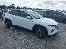 5NMJB3DE6RH****** Salvamento y Destrozados 2024 Hyundai Tucson en Tampa North
