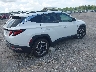 5NMJB3DE6RH****** Salvamento y Destrozados 2024 Hyundai Tucson en Estado de Florida