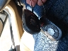 1G1YY26U375****** Salvage 2007 Chevrolet Corvette in North Carolina State