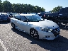 1N4AA6AP3GC****** Salvamento y Destrozados 2016 Nissan Maxima en Raleigh