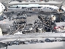 5TENX22N19Z****** Reparables 2009 Toyota Tacoma en Jacksonville