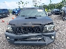 5TENX22N19Z****** Salvamento 2009 Toyota Tacoma en Estado de Florida