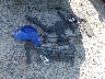 5NMJFCDE2RH****** Wrecked 2024 Hyundai Tucson in Ohio State