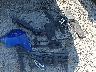 5NMJFCDE2RH****** Salvage and Wrecked 2024 Hyundai Tucson in Ohio State