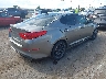 5XXGR4A61EG****** Salvage and Wrecked 2014 Kia Optima in New Mexico State