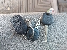 JTEEP21A060****** Salvage 2006 Toyota Highlander in New York State