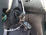 1HGCM71284A****** Salvage 2004 Honda Accord in California State