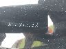 JN1BJ1CRXJW****** Used 2018 Nissan Rogue Sport