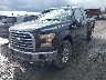 1FTFX1EG3FF****** Used and Repairable 2015 Ford F-150 in Anchorage